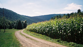 Country Road