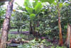 Small farm Coast8
